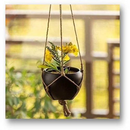 VandituHub_Iron_Hanging_pot_with_Jute_rope