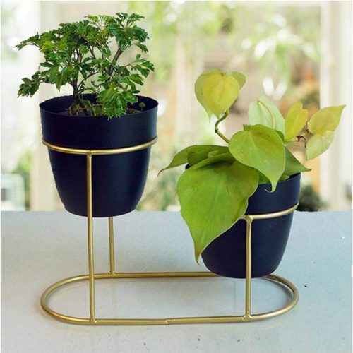 VanituHub_Small_Golden_double_stand_with_pot