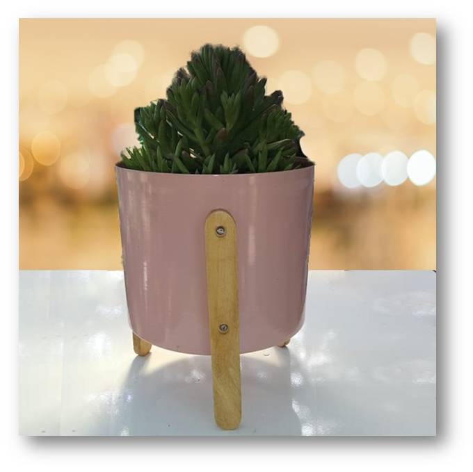 Pot with wooden Stand (HSN Code 7323) VandituHub